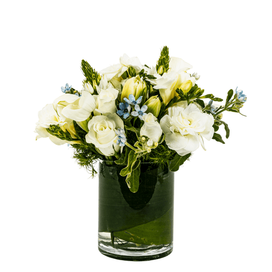 White Roses, Freesia and Tweedia - My Store