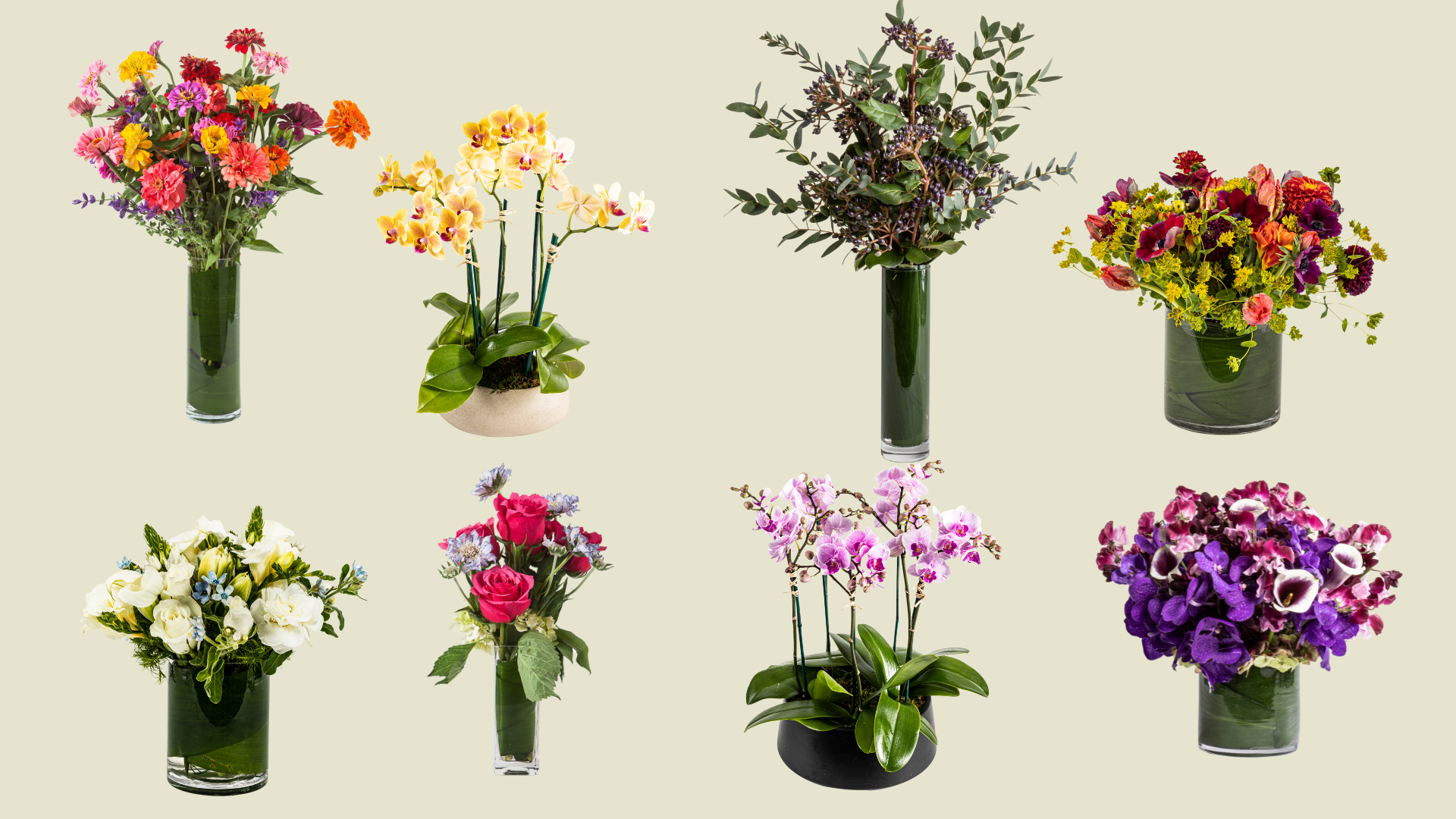 Assortment of floral arrangements and orchid plants featuring elegant, modern and whimsical designs