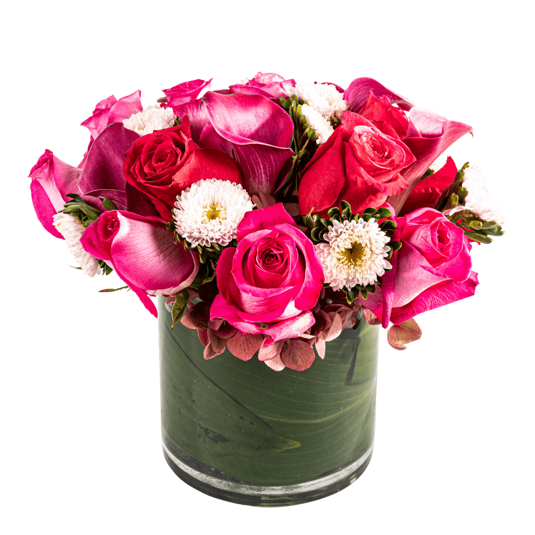 Hot Pink Roses and Calla Lilies - My Store