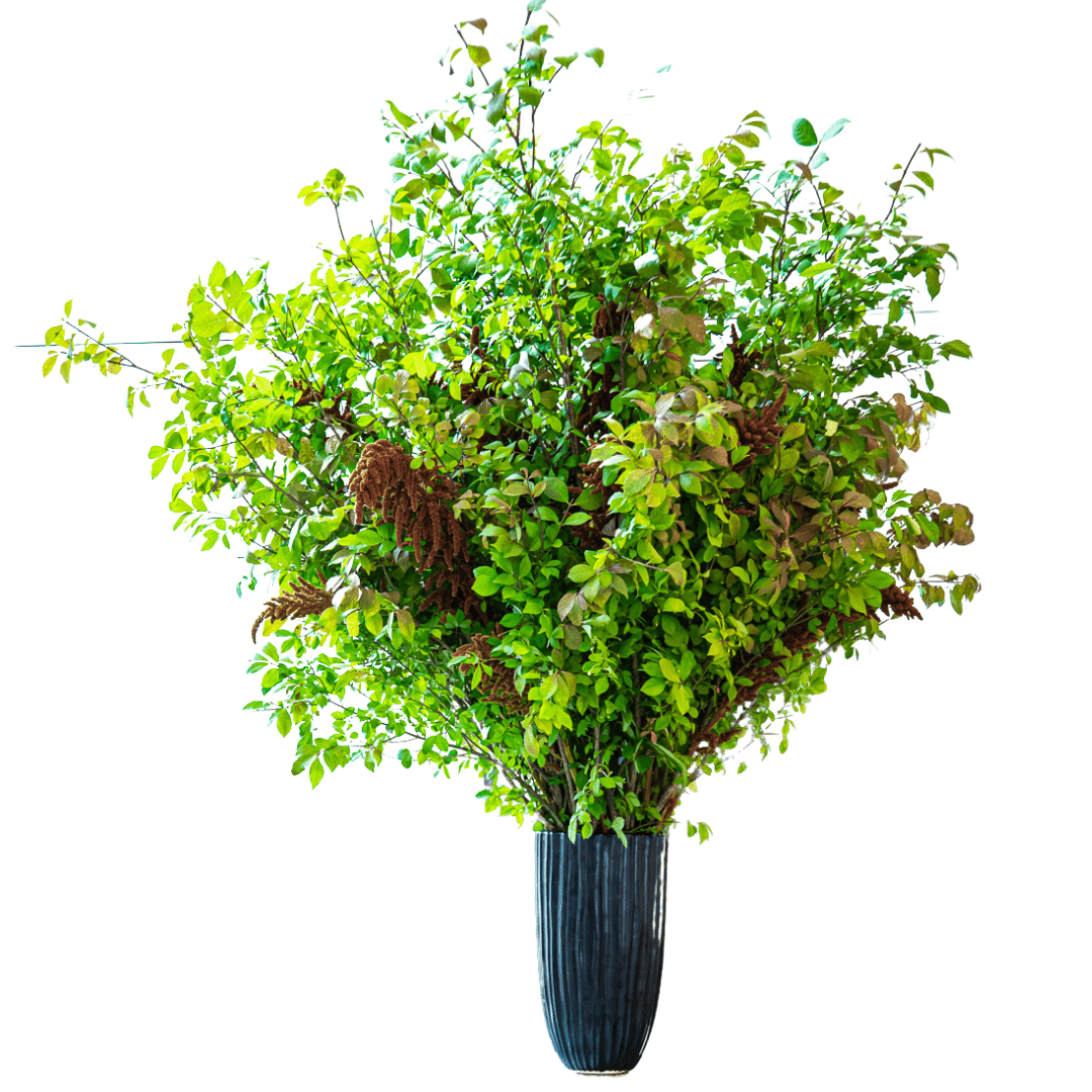 Large and tall statement arrangement featuring seasonal blooming greens in a ceramic container