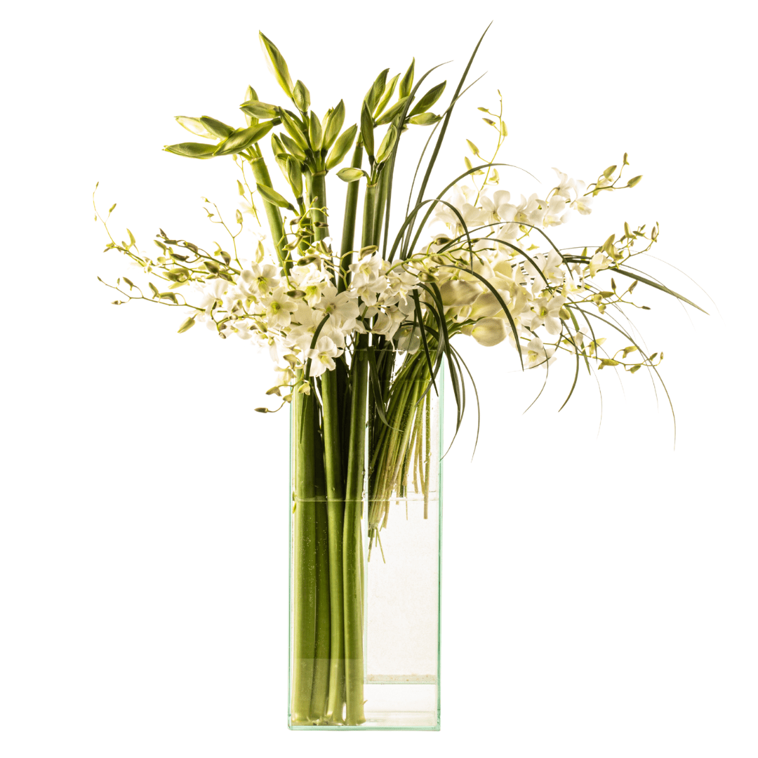 Medium modern architectural floral arrangement featuring Amaryllis and Orchids