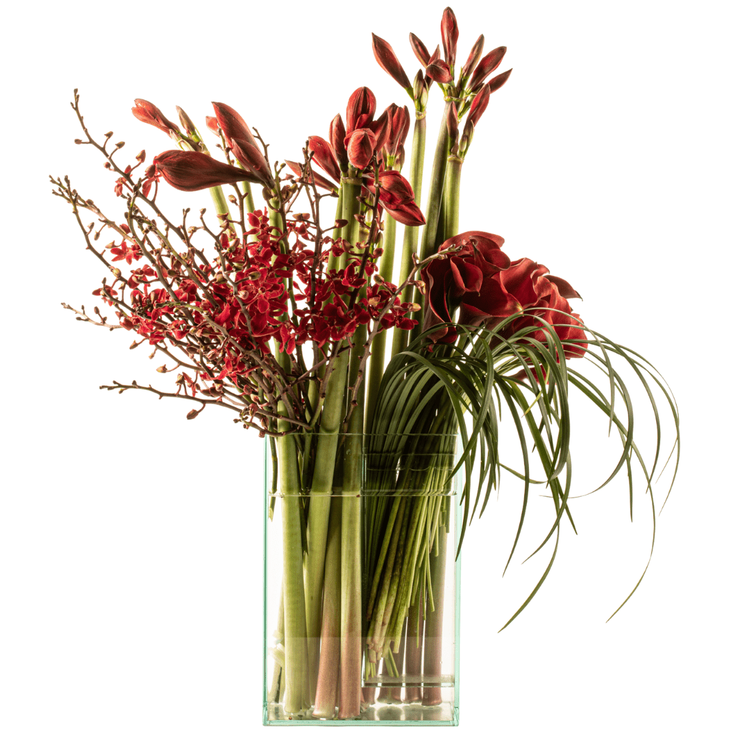 Medium sized modern and elegant monochromatic red floral arrangement featuring Orchids, mini Calla Lilies and Amaryllis 