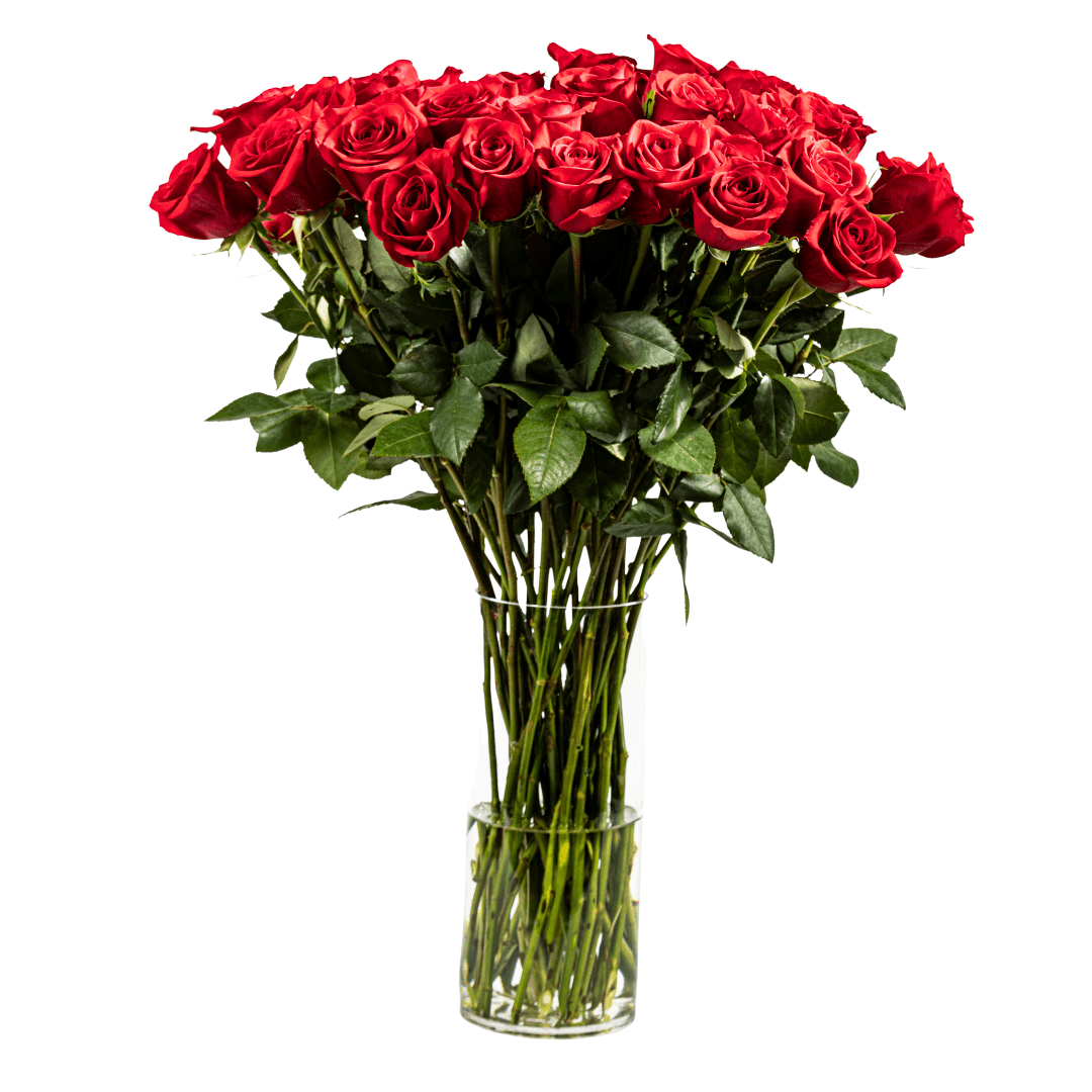 Roses - My Store