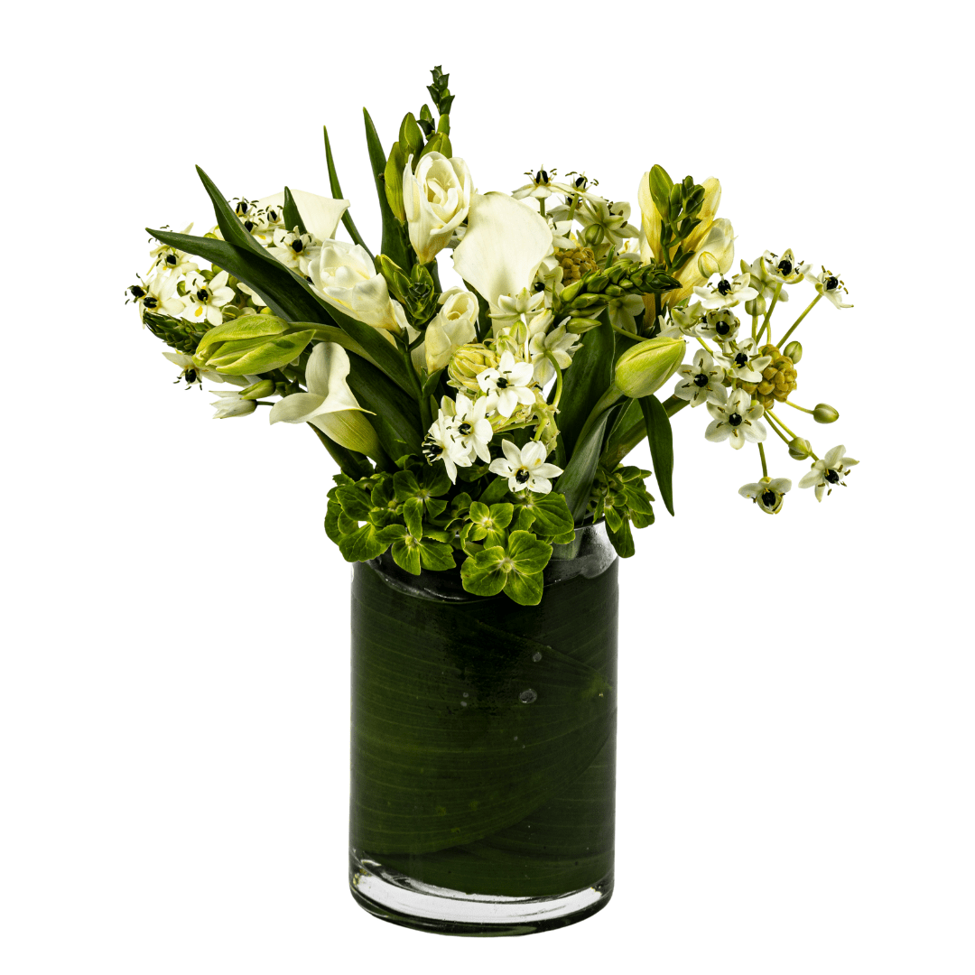 Stars of Bethlehem and Calla Lilies - My Store